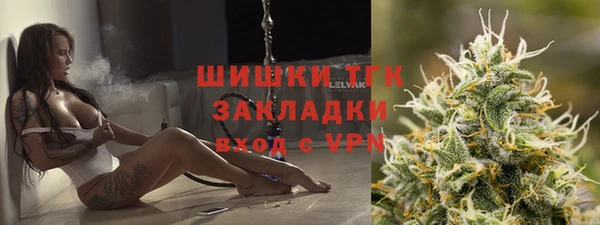 гидра Кодинск