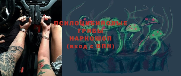 гидра Кодинск