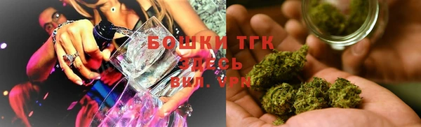 гидра Кодинск