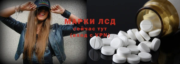 гидра Кодинск