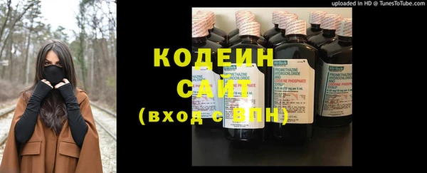 гидра Кодинск