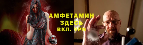 гидра Кодинск