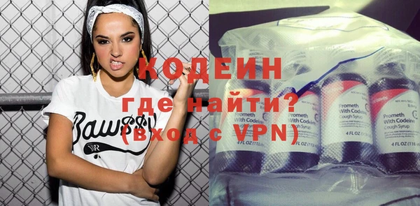 гидра Кодинск