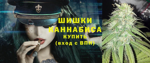гидра Кодинск