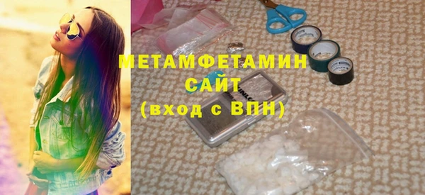 гидра Кодинск