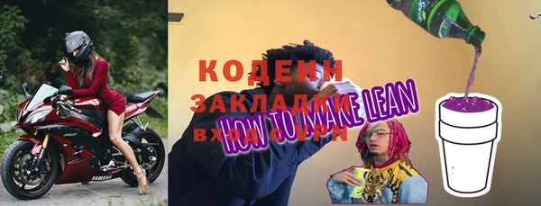 гидра Кодинск
